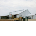 Poultry Farm Industrial Metal Frame Steel Prefabricated Cattle Barn Agricultural Shed